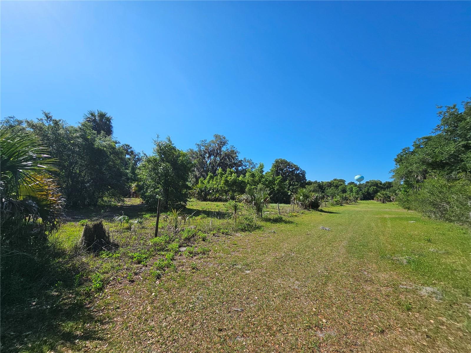 123 W 2ND AVE, PIERSON, FL, 32180