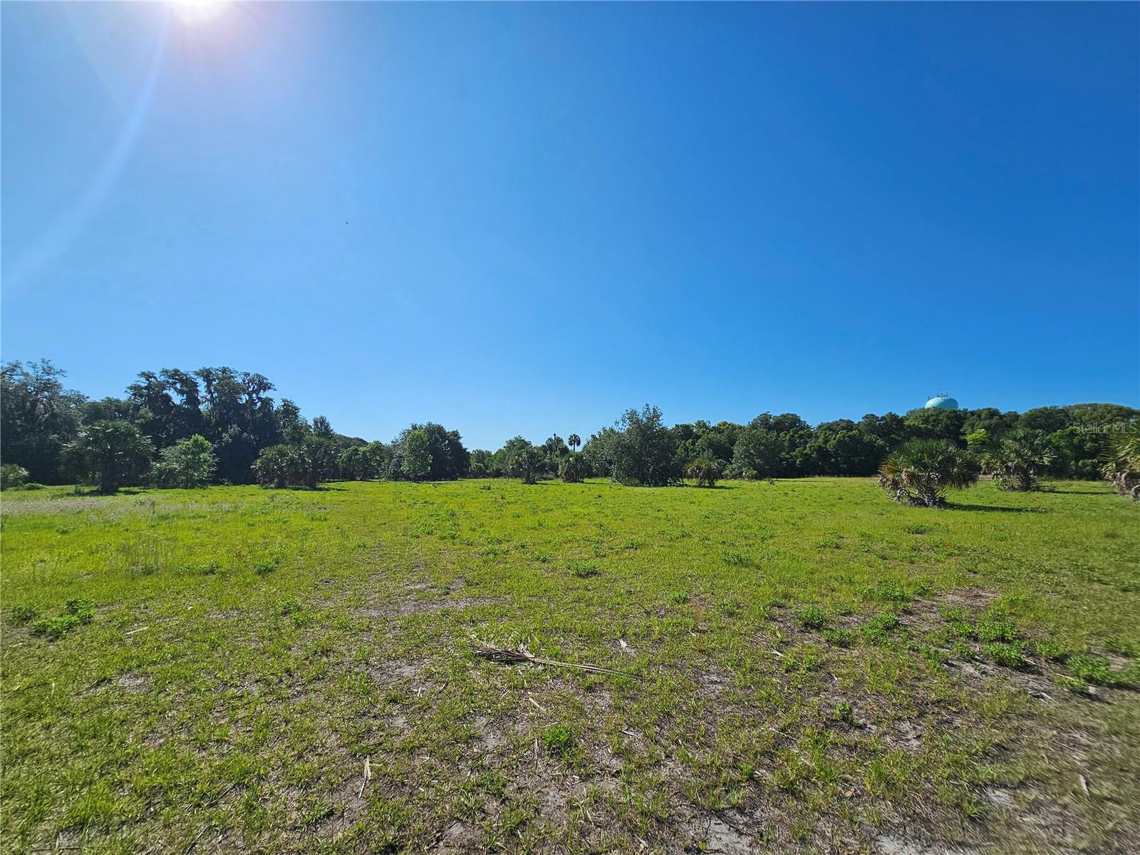 123 W 2ND AVE, PIERSON, FL, 32180