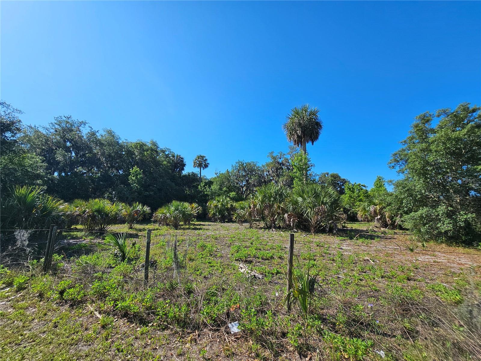 123 W 2ND AVE, PIERSON, FL, 32180