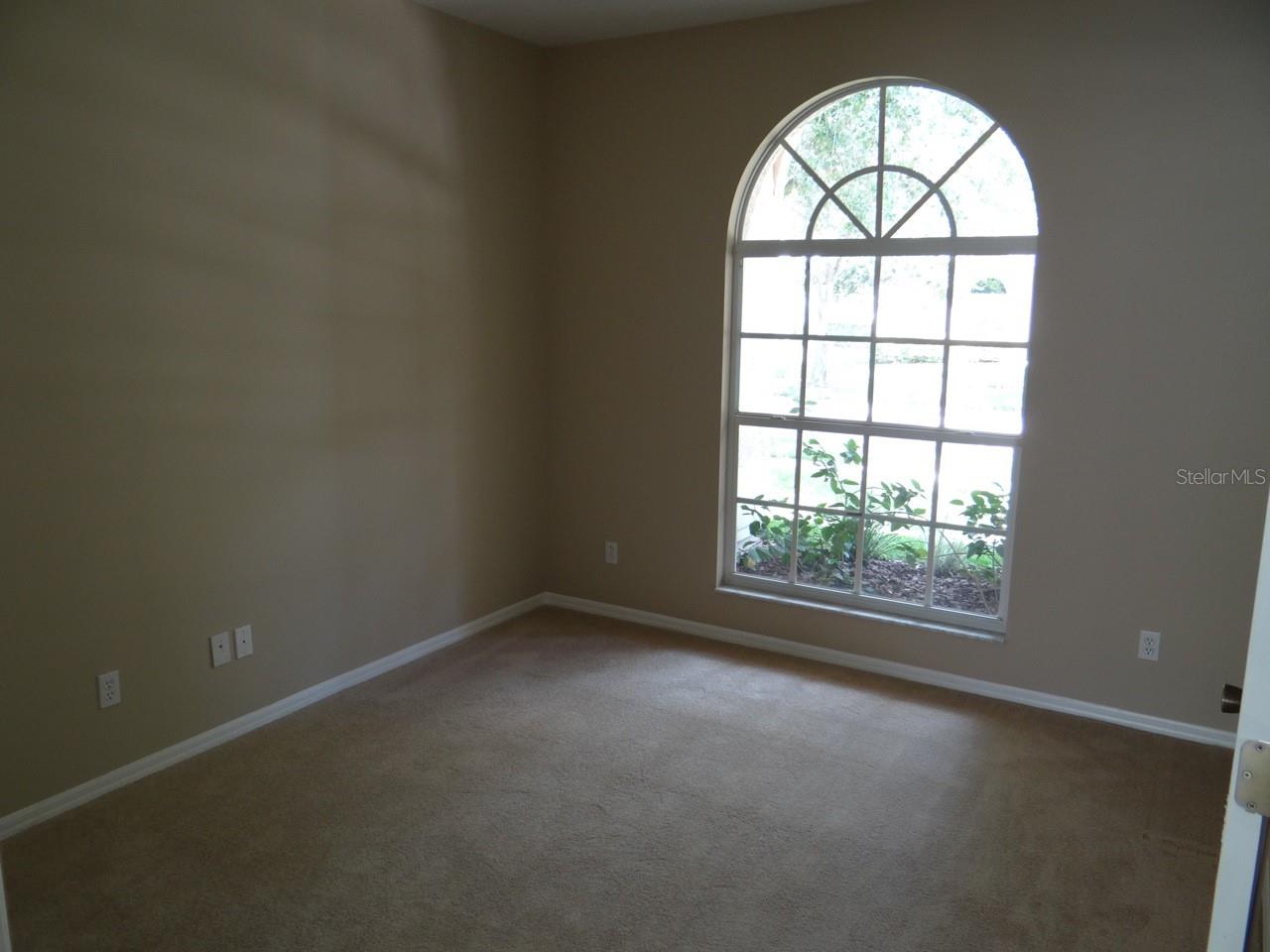 17712 HAMPSHIRE OAK DR, TAMPA, FL, 33647
