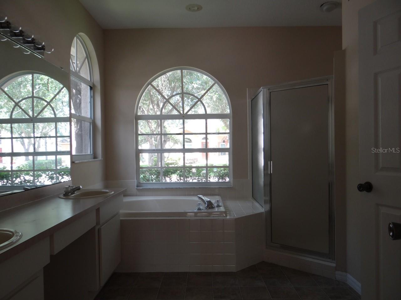 17712 HAMPSHIRE OAK DR, TAMPA, FL, 33647