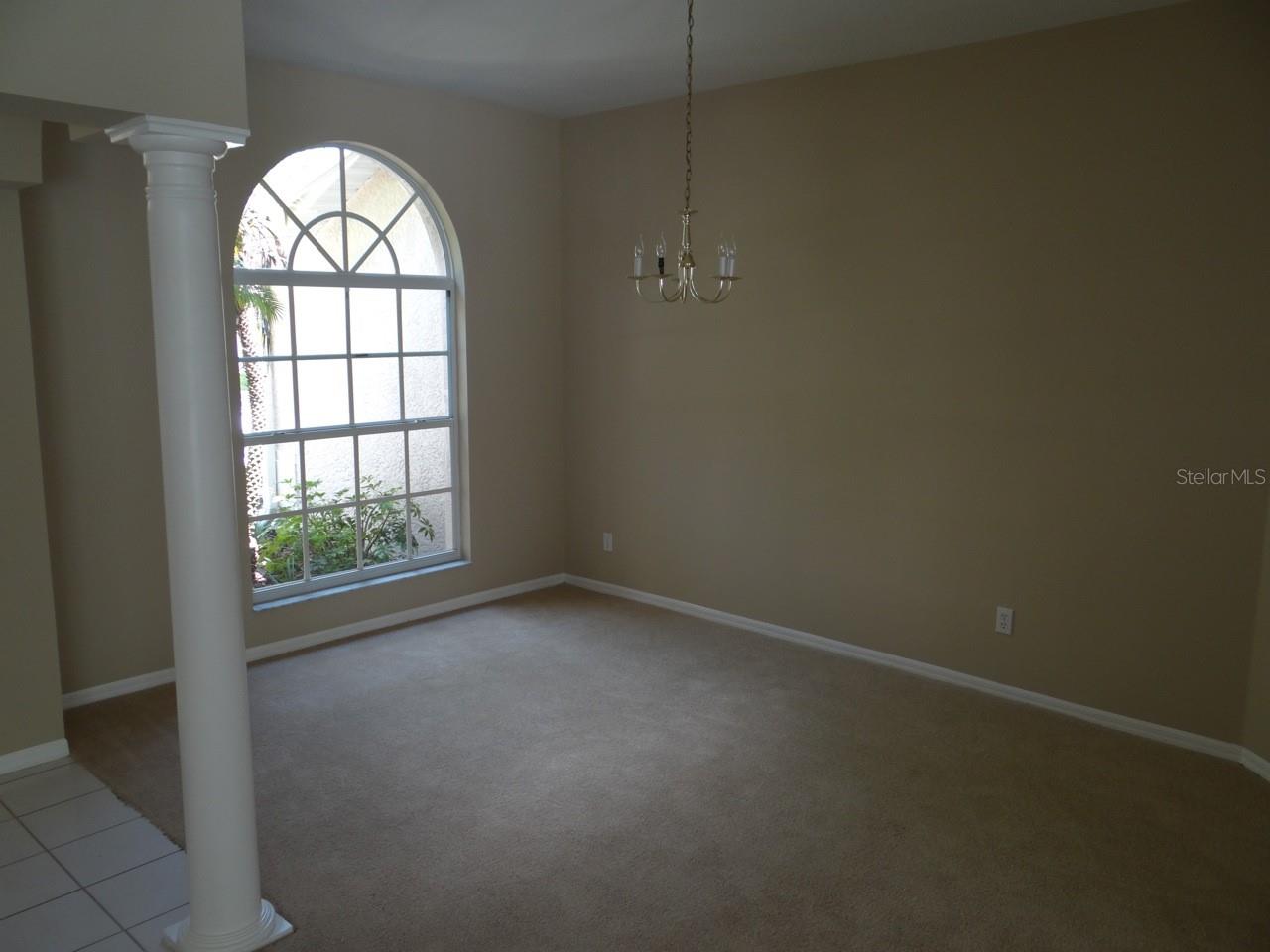 17712 HAMPSHIRE OAK DR, TAMPA, FL, 33647