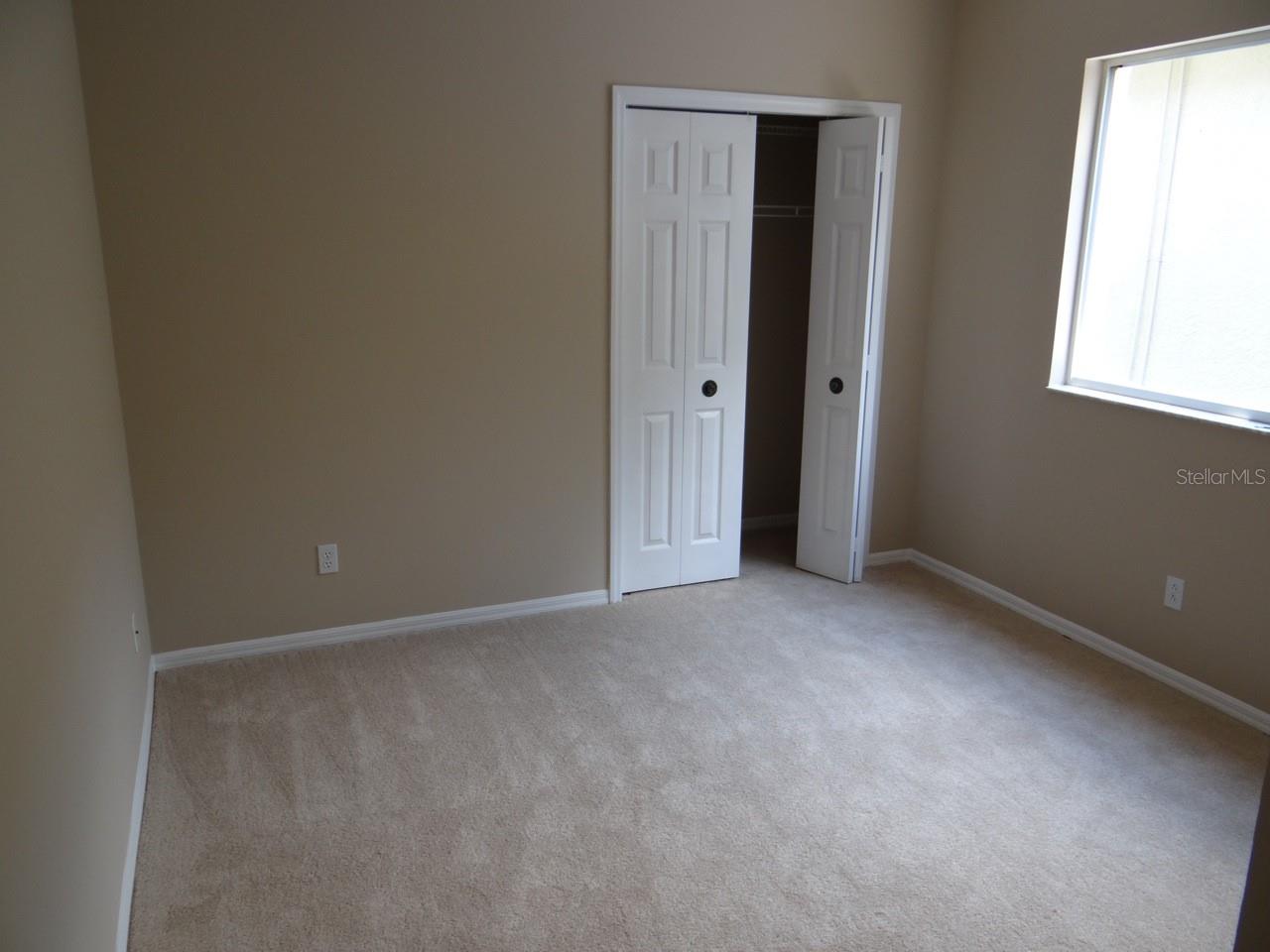 17712 HAMPSHIRE OAK DR, TAMPA, FL, 33647