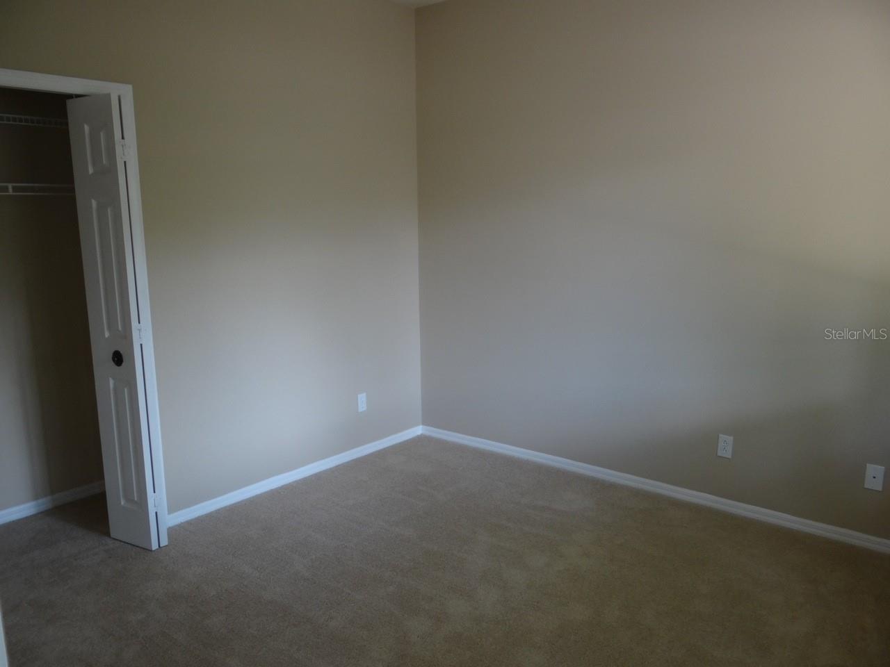 17712 HAMPSHIRE OAK DR, TAMPA, FL, 33647