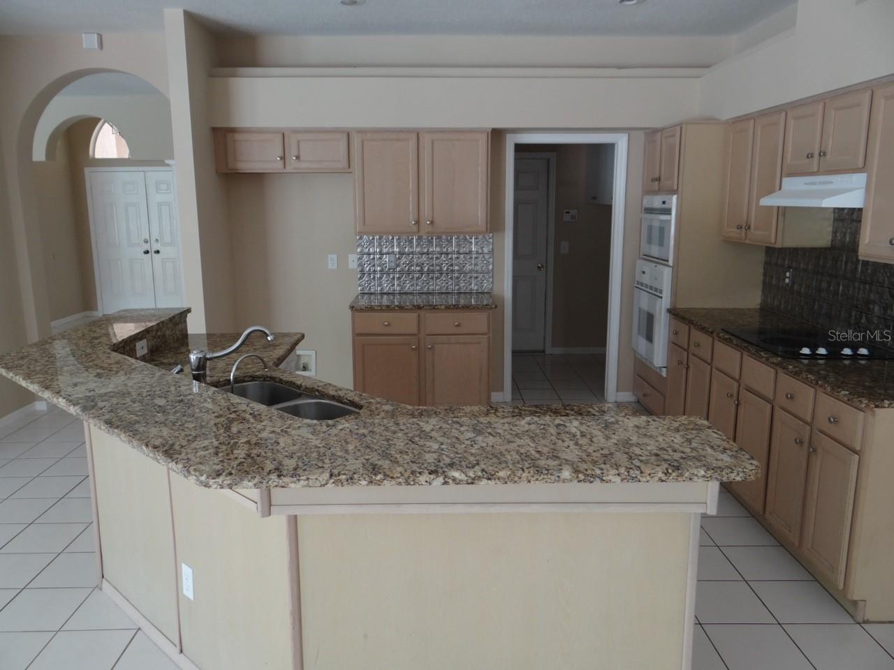 17712 HAMPSHIRE OAK DR, TAMPA, FL, 33647