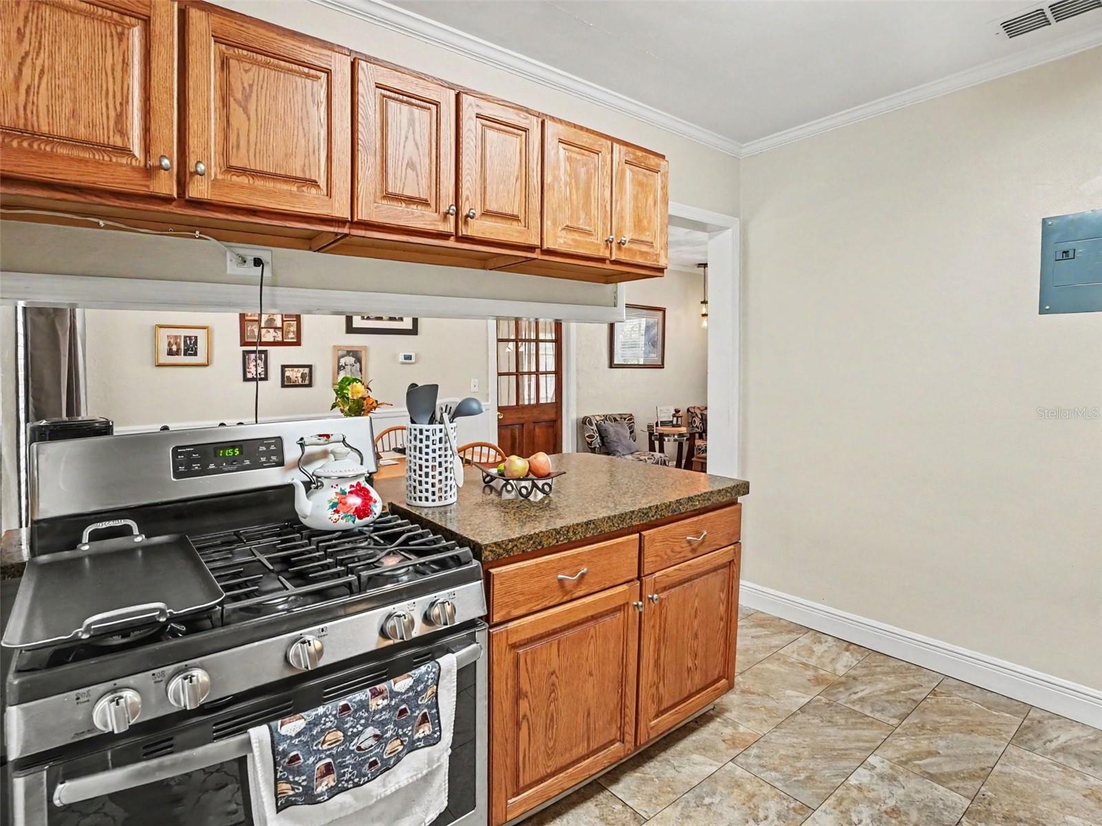 315 W 11TH AVE, MOUNT DORA, FL, 32757