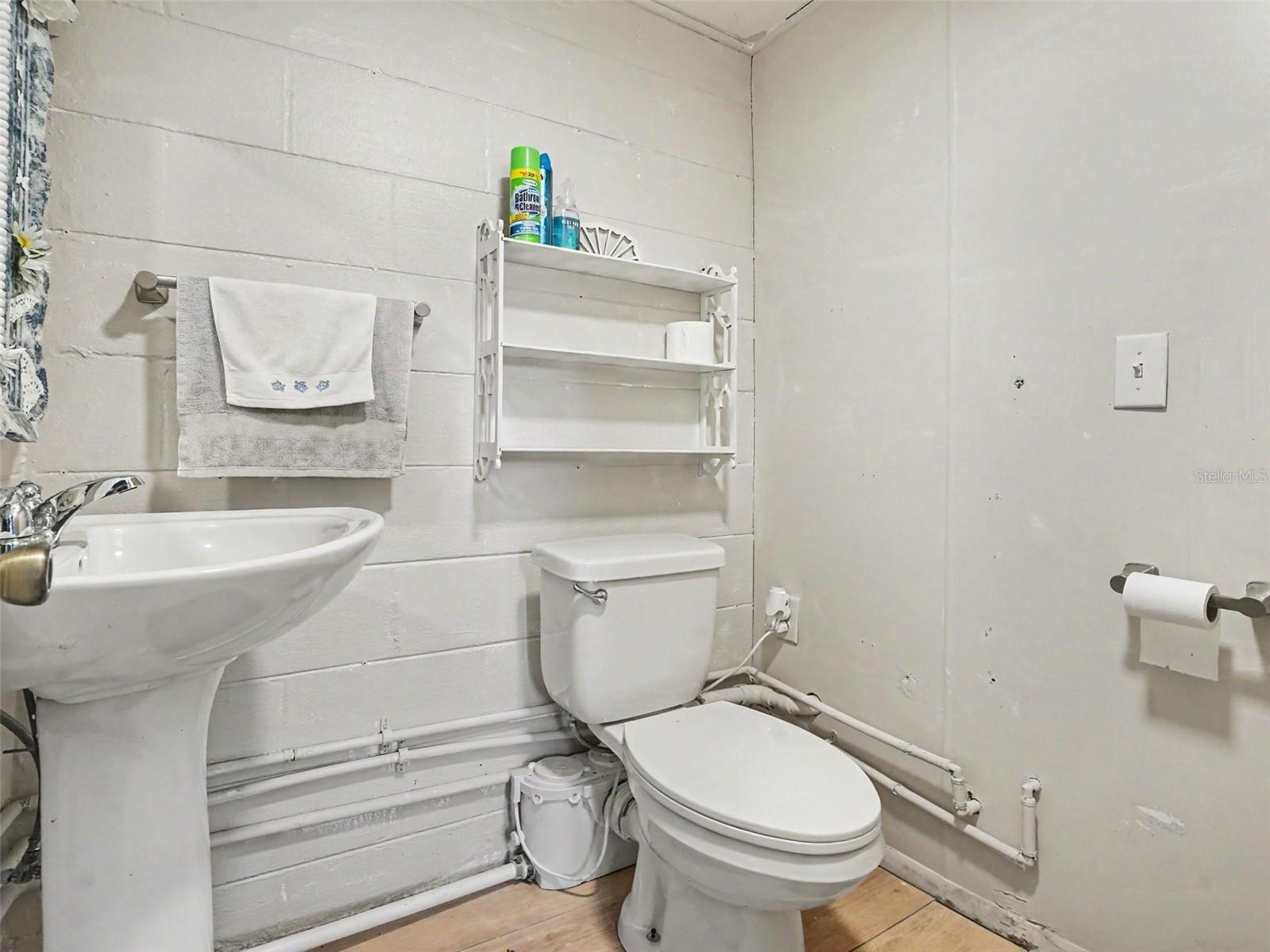 315 W 11TH AVE, MOUNT DORA, FL, 32757