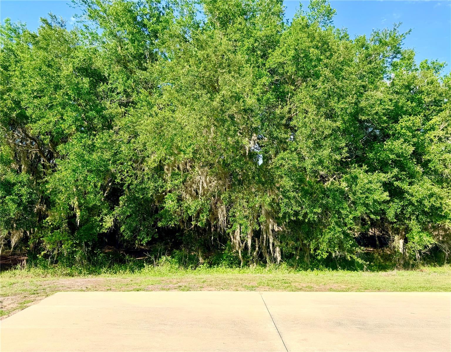 4933 SE 92ND BLVD, WEBSTER, FL, 33597