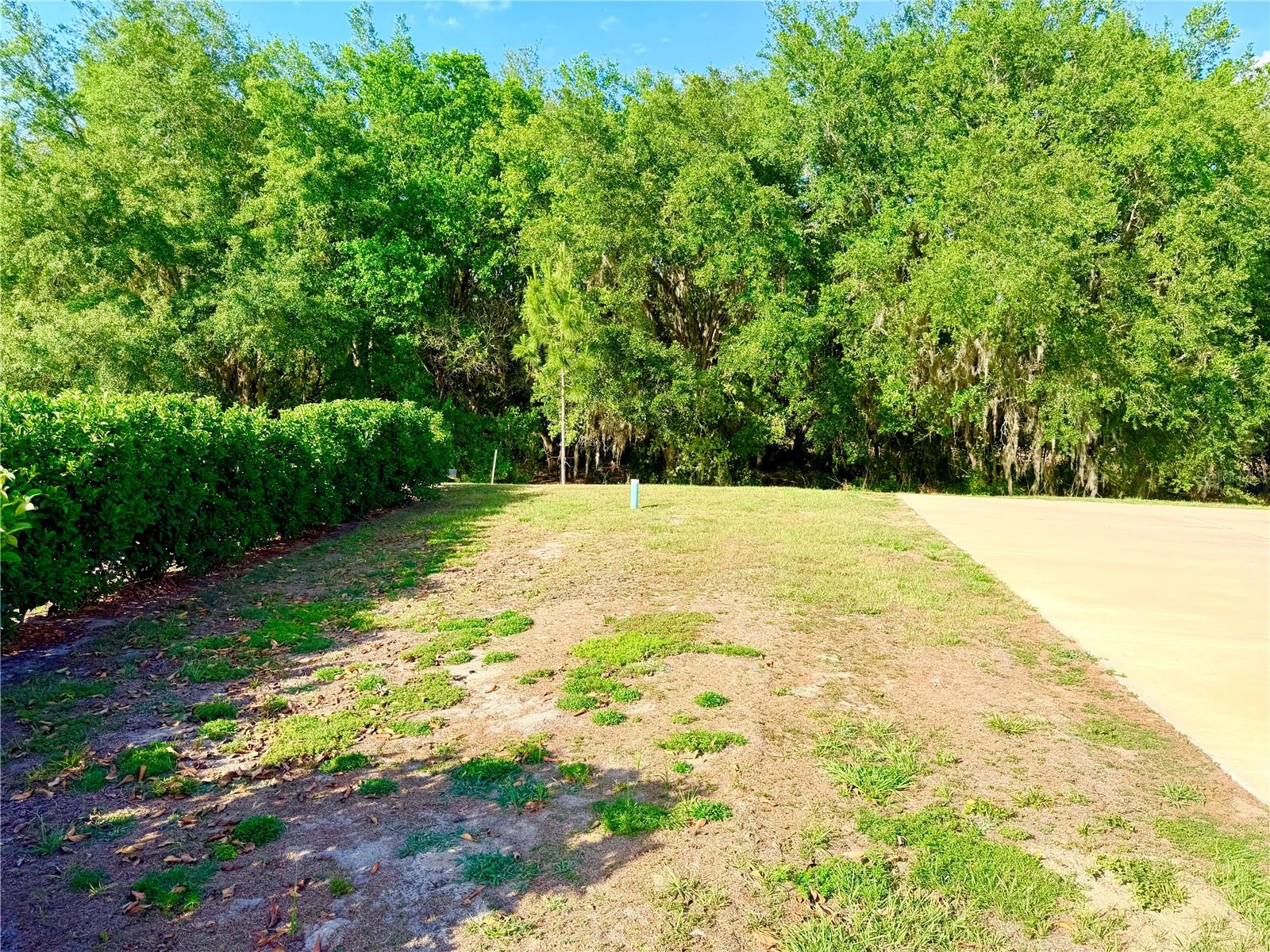 4933 SE 92ND BLVD, WEBSTER, FL, 33597