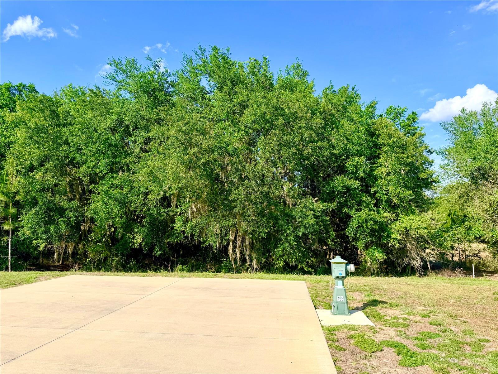 4933 SE 92ND BLVD, WEBSTER, FL, 33597