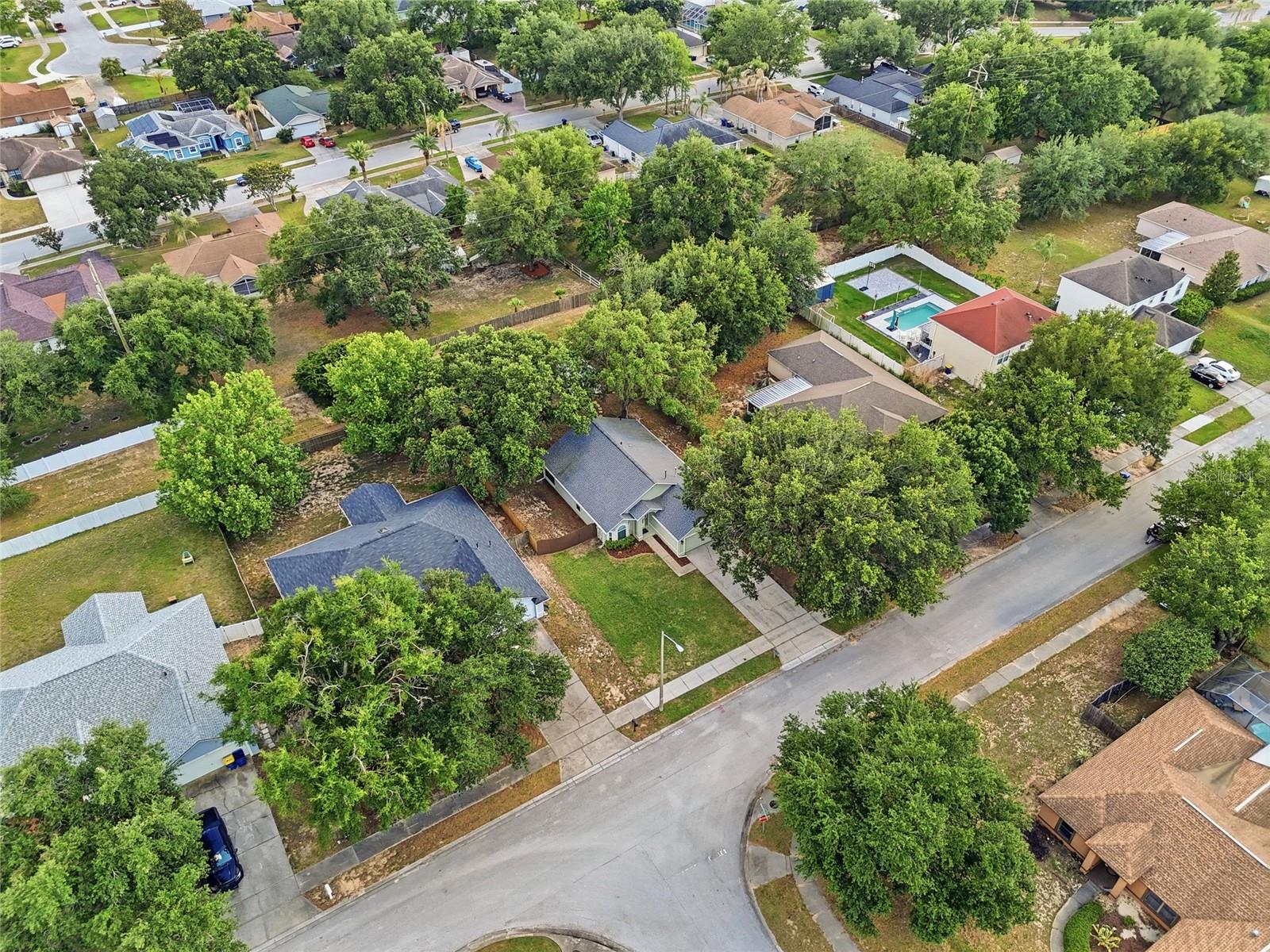 1008 CHATEAU CIR, MINNEOLA, FL, 34715