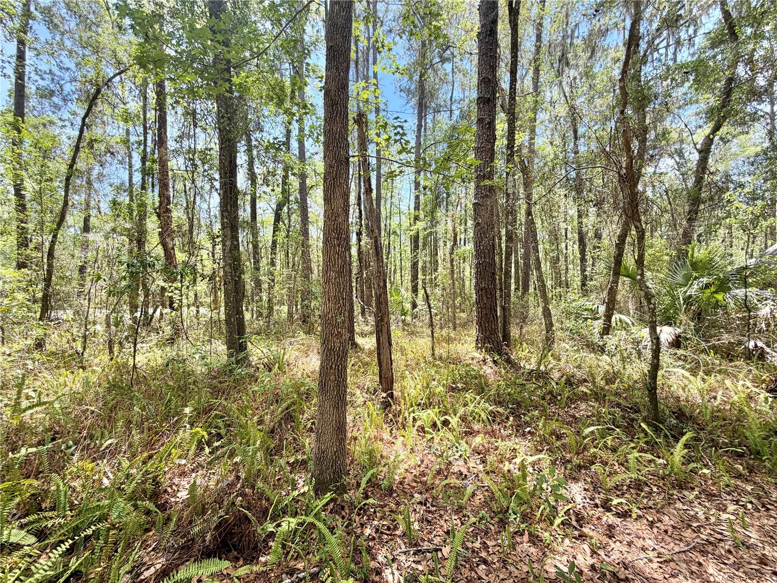 5229 SW 86TH TER, GAINESVILLE, FL, 32608