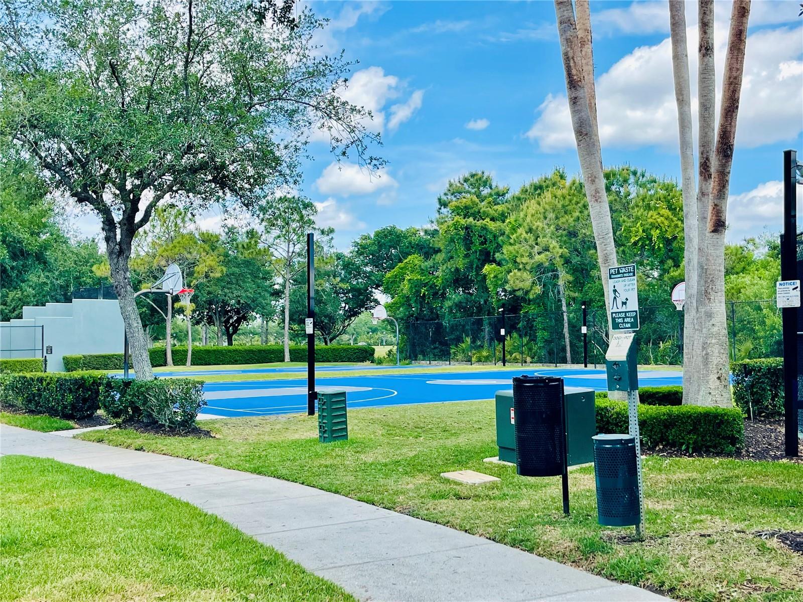 2469 GUIANA PLUM DR, ORLANDO, FL, 32828
