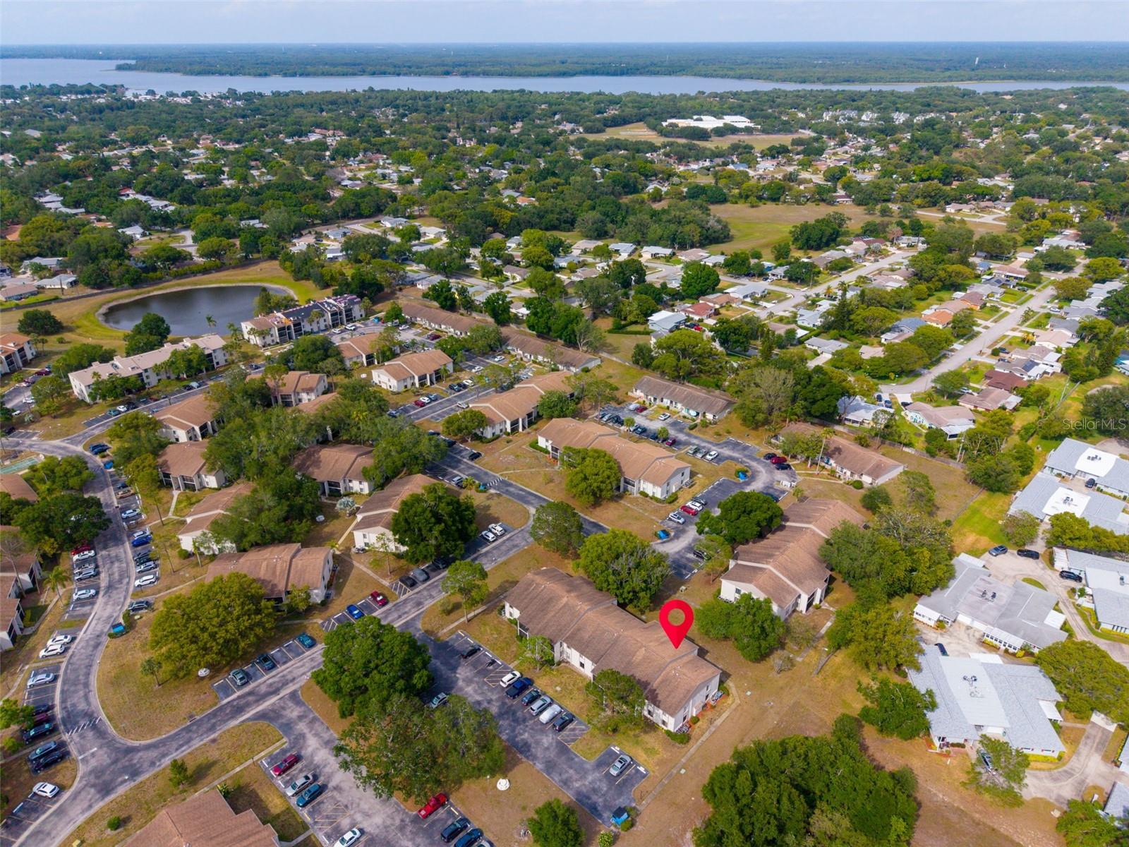 2642 PINE RIDGE WAY S #G2, PALM HARBOR, FL, 34684