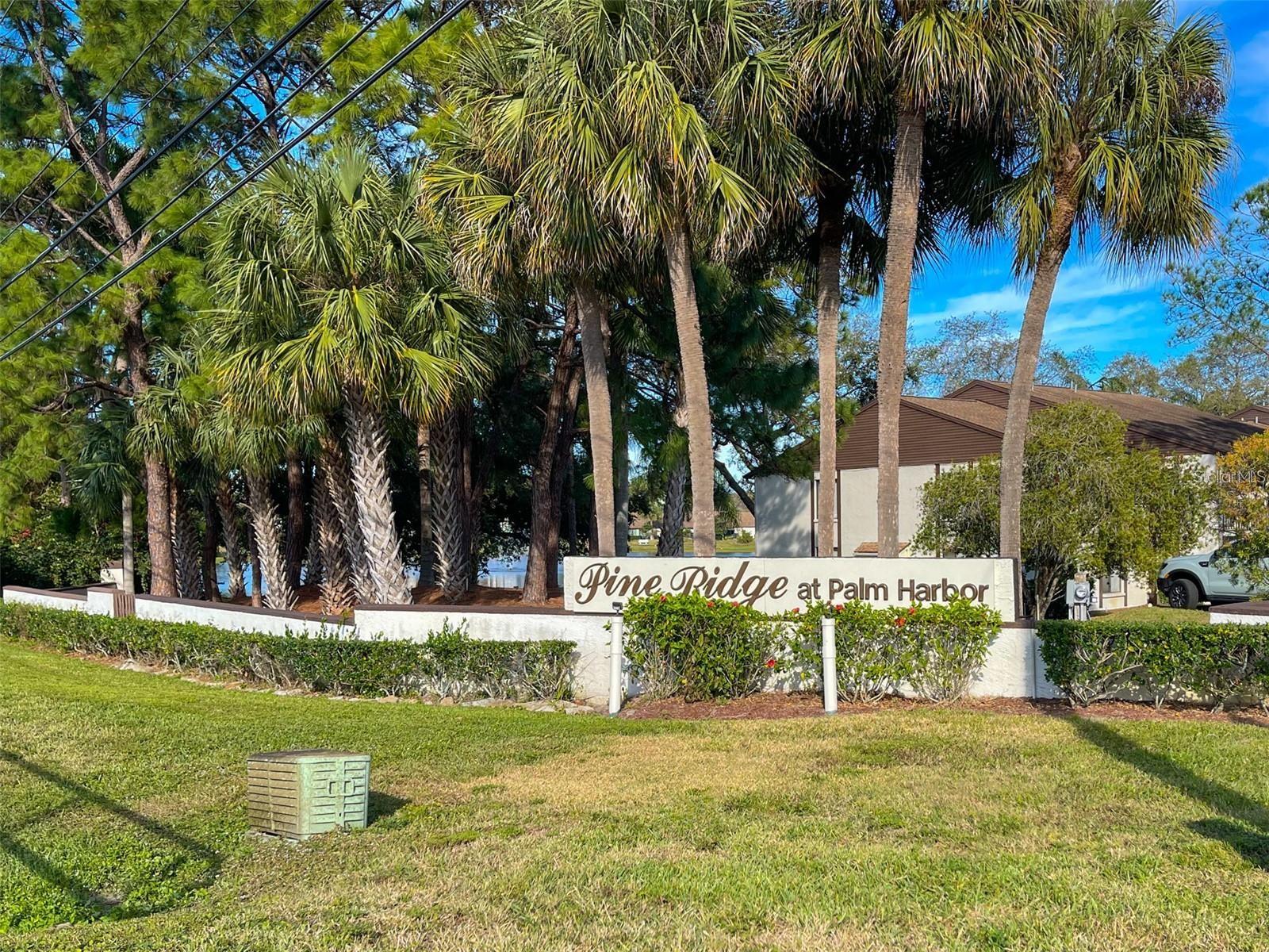 2642 PINE RIDGE WAY S #G2, PALM HARBOR, FL, 34684