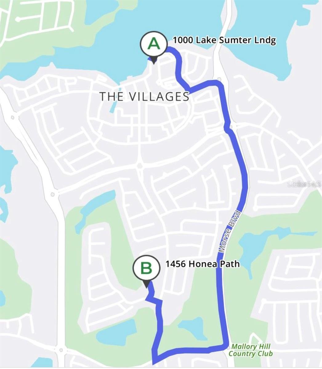 1456 HONEA PATH, THE VILLAGES, FL, 32162