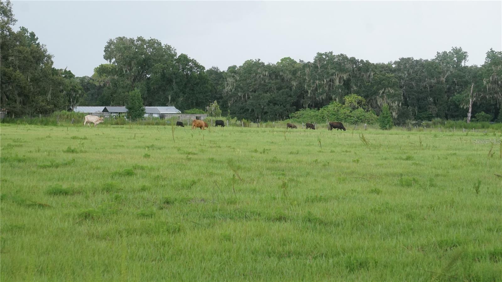 DURANT RD, DOVER, FL, 33527