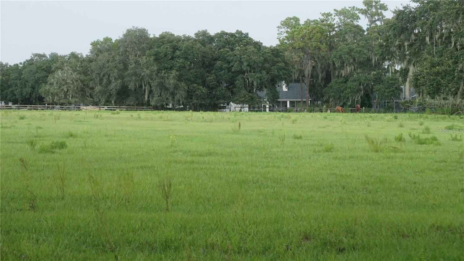 DURANT RD, DOVER, FL, 33527