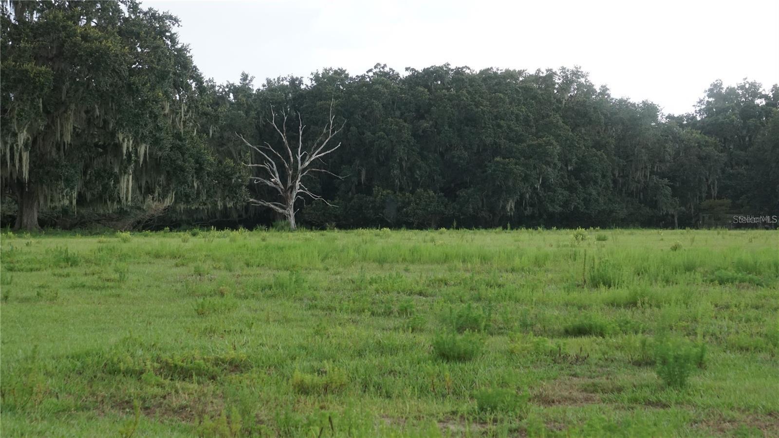 DURANT RD, DOVER, FL, 33527