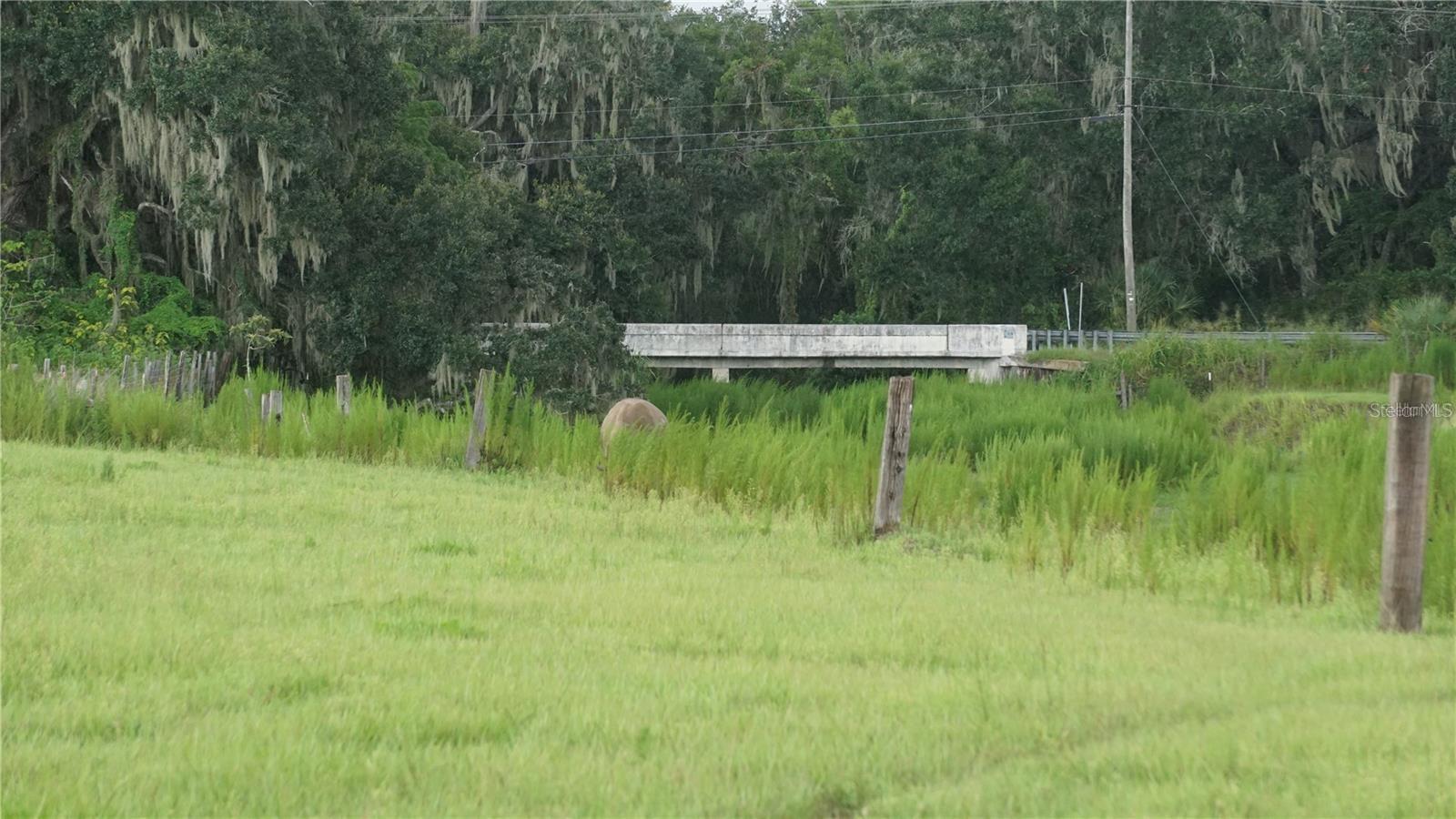 DURANT RD, DOVER, FL, 33527