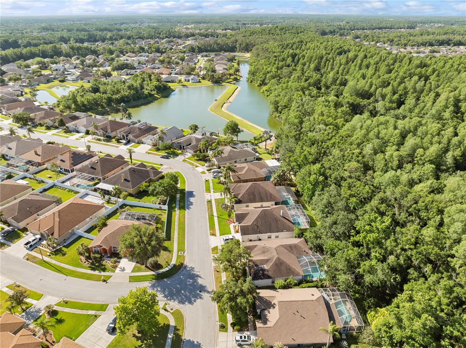 29520 FOREST GLEN DR, WESLEY CHAPEL, FL, 33543