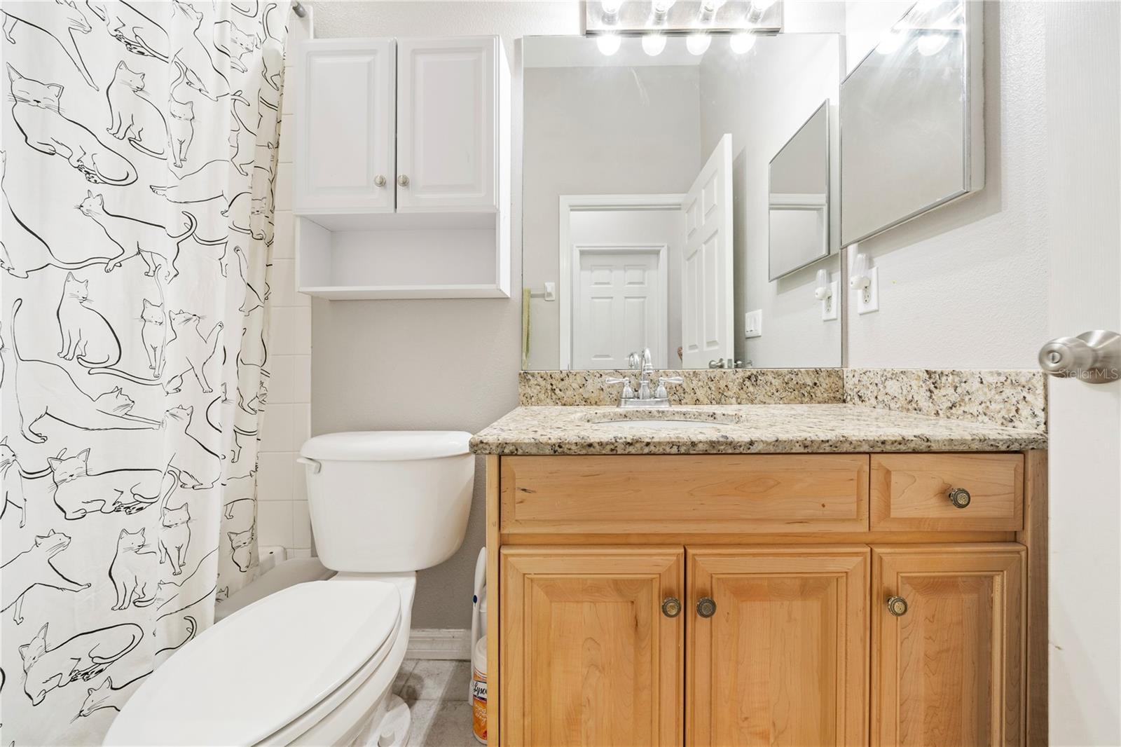 29520 FOREST GLEN DR, WESLEY CHAPEL, FL, 33543