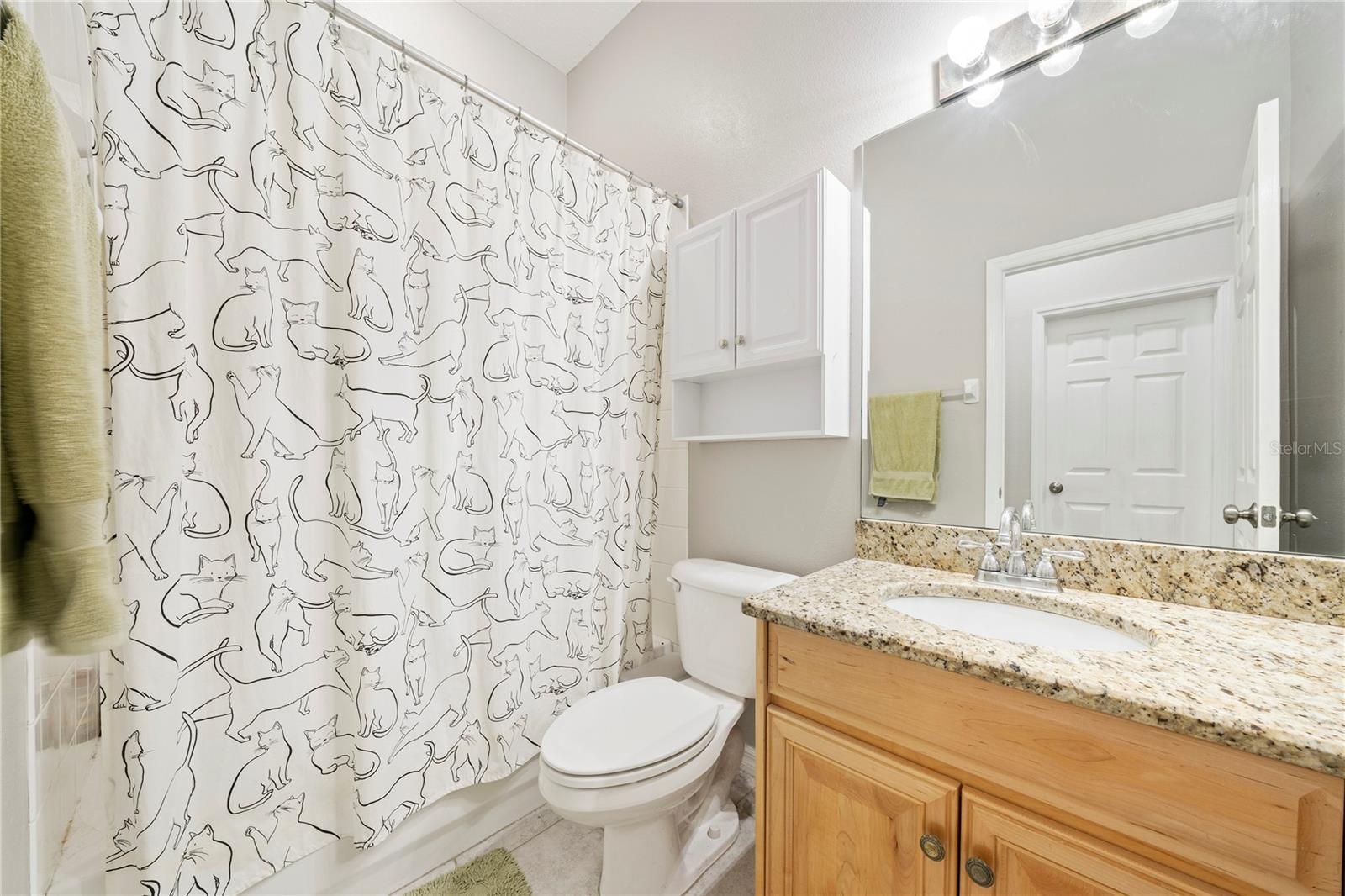 29520 FOREST GLEN DR, WESLEY CHAPEL, FL, 33543