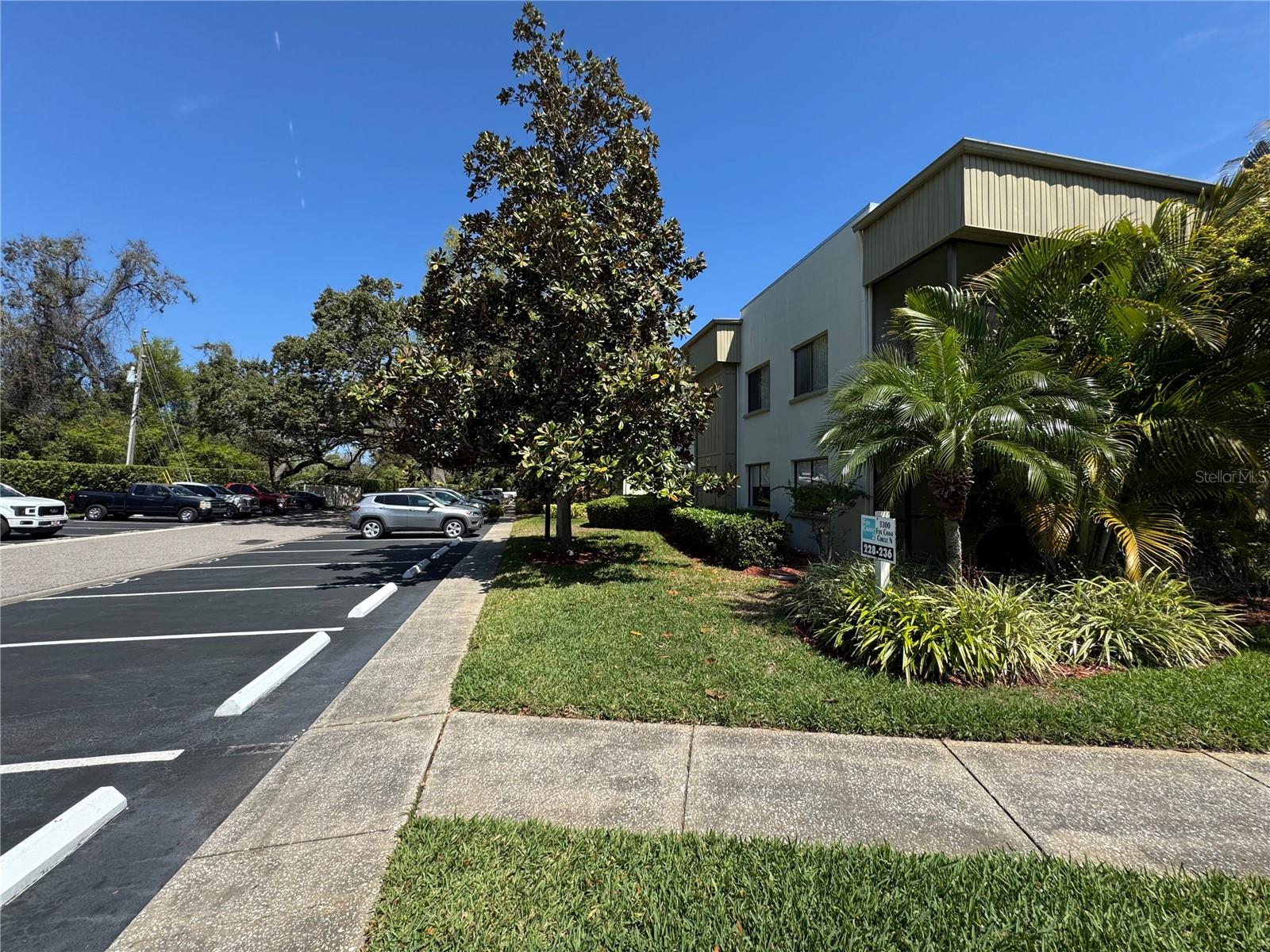 3300 FOX CHASE CIR N #229, PALM HARBOR, FL, 34683