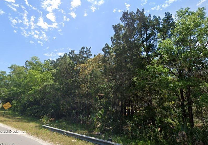 915 LUNDY LN SE, STEINHATCHEE, FL, 32359