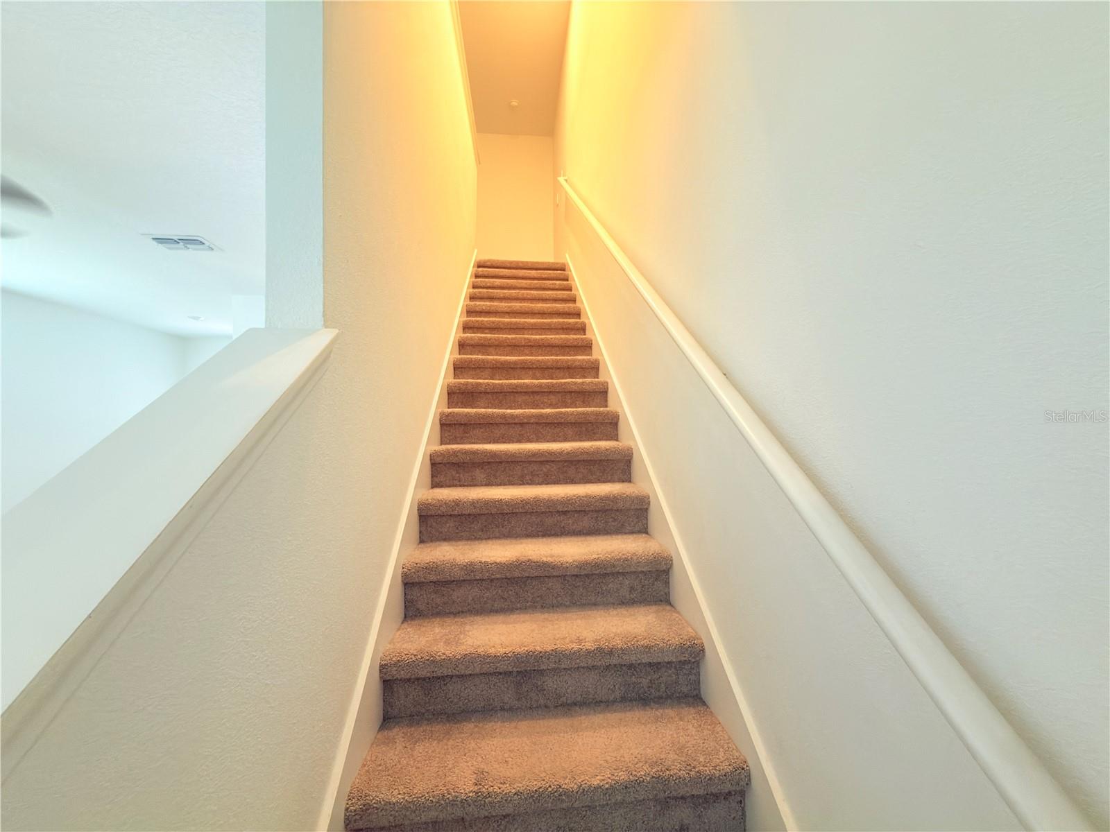 253 TULIP BANDED WAY, RUSKIN, FL, 33570
