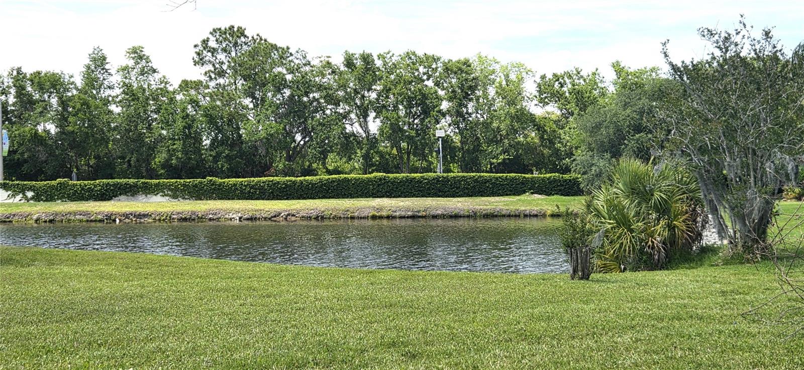 3904 HIDDEN SPRING PL, VALRICO, FL, 33596