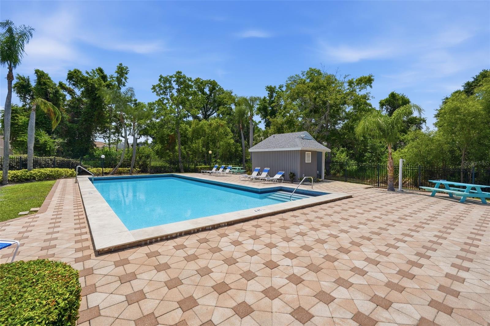 351 IXORA DR #61, PALM HARBOR, FL, 34684