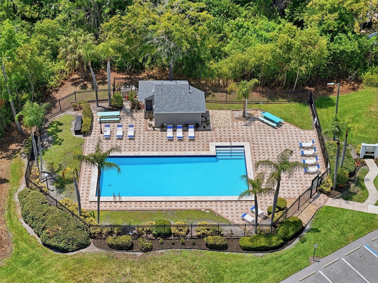 351 IXORA DR #61, PALM HARBOR, FL, 34684