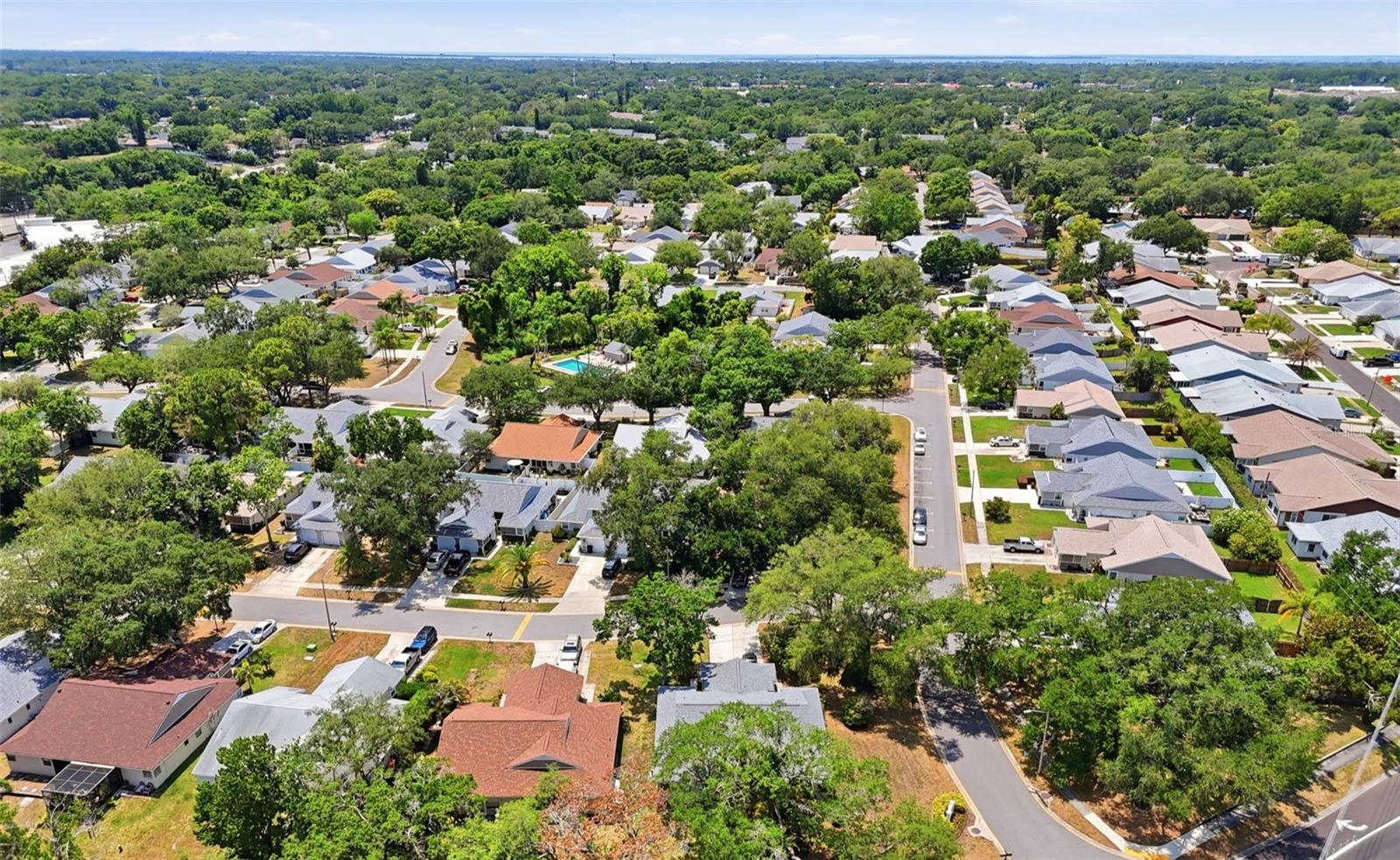 351 IXORA DR #61, PALM HARBOR, FL, 34684