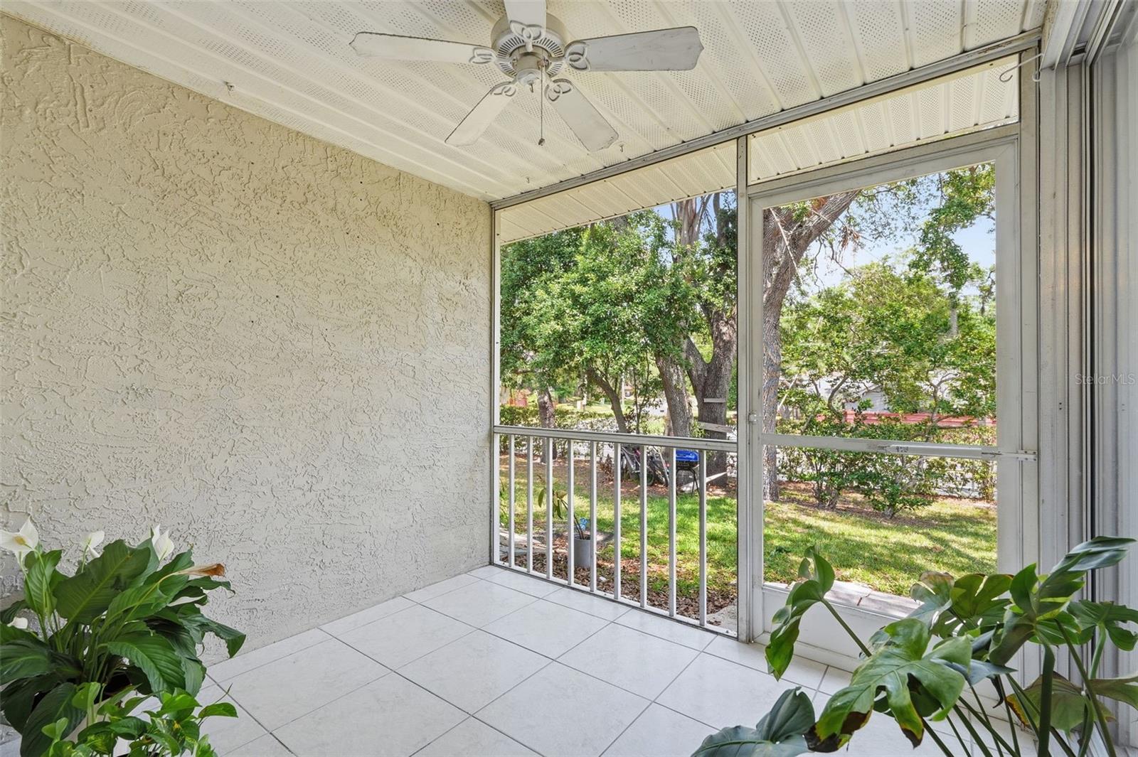 351 IXORA DR #61, PALM HARBOR, FL, 34684