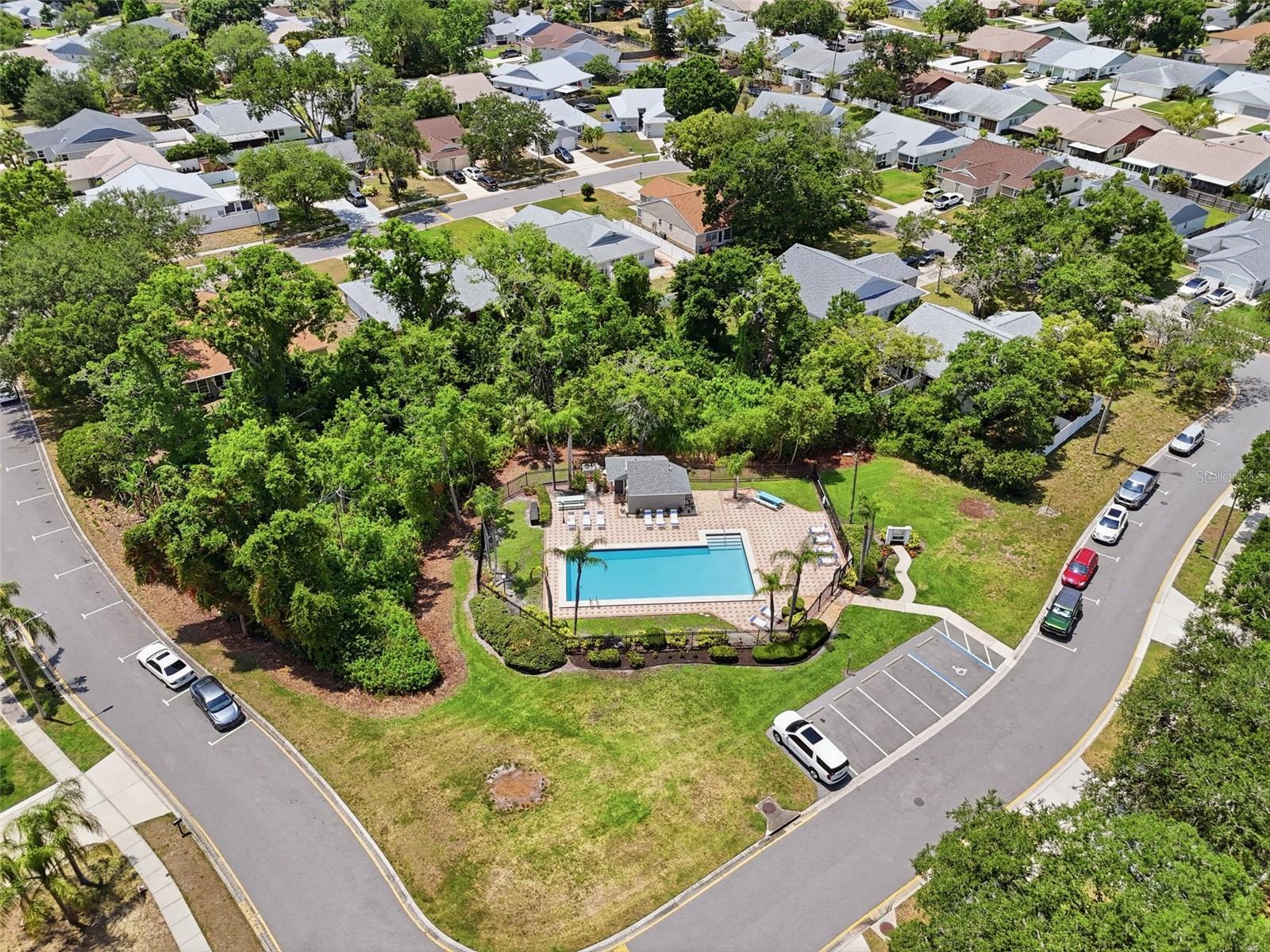 351 IXORA DR #61, PALM HARBOR, FL, 34684