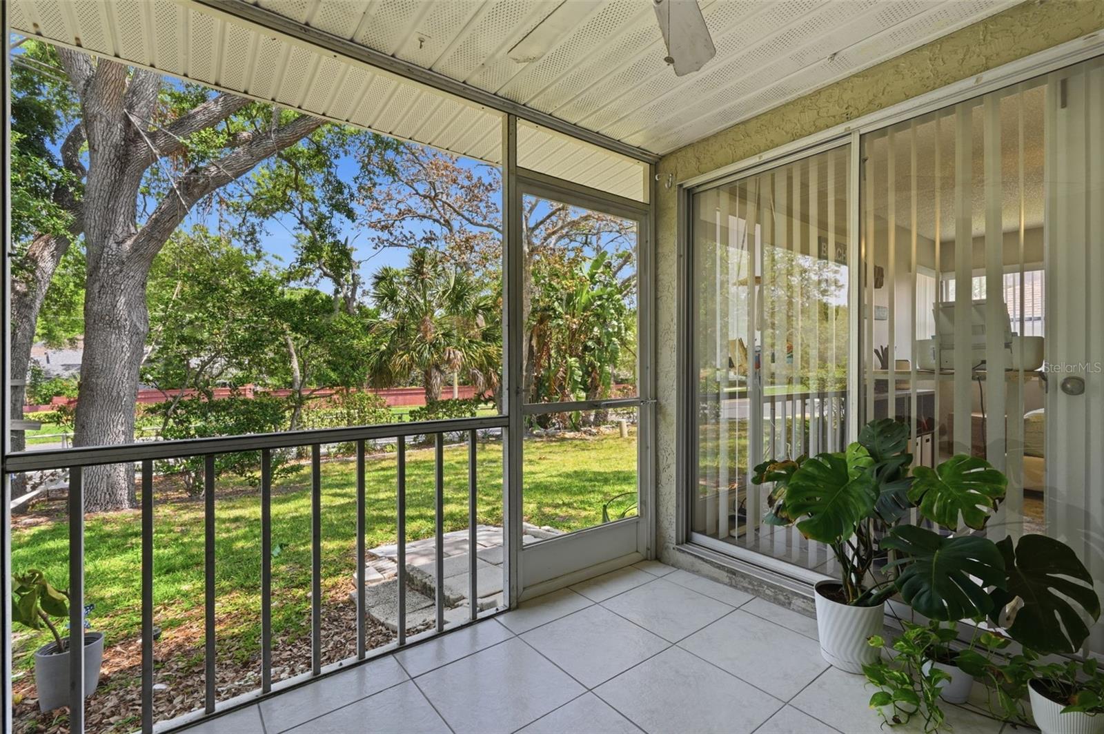 351 IXORA DR #61, PALM HARBOR, FL, 34684