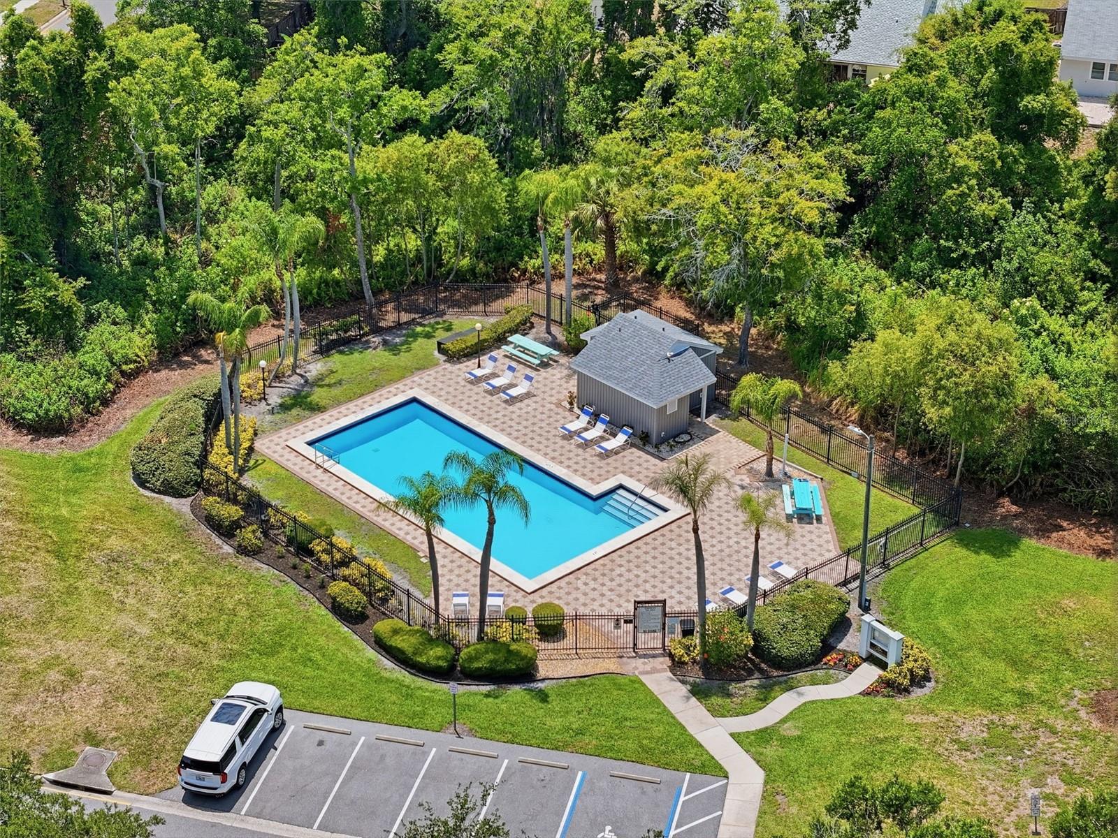 351 IXORA DR #61, PALM HARBOR, FL, 34684