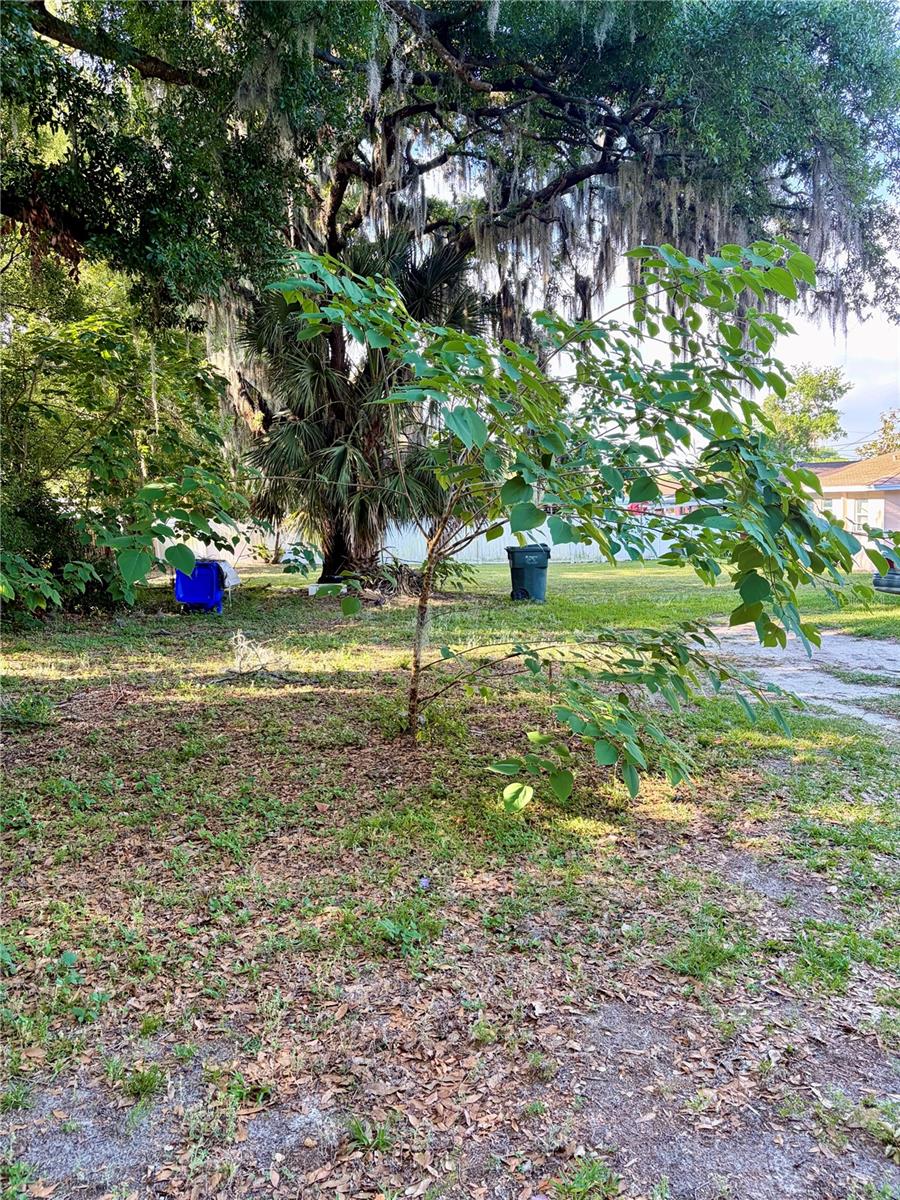 1203 N BRUNNELL PKWY, LAKELAND, FL, 33805