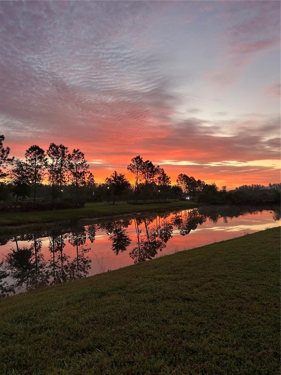 10802 ROLLING MOSS RD, TAMPA, FL, 33647