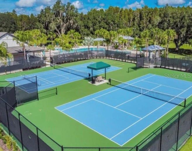 10802 ROLLING MOSS RD, TAMPA, FL, 33647