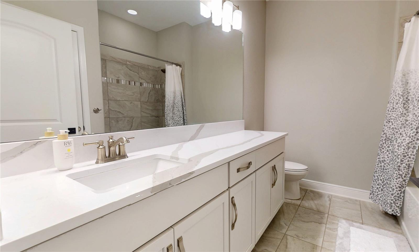 10802 ROLLING MOSS RD, TAMPA, FL, 33647