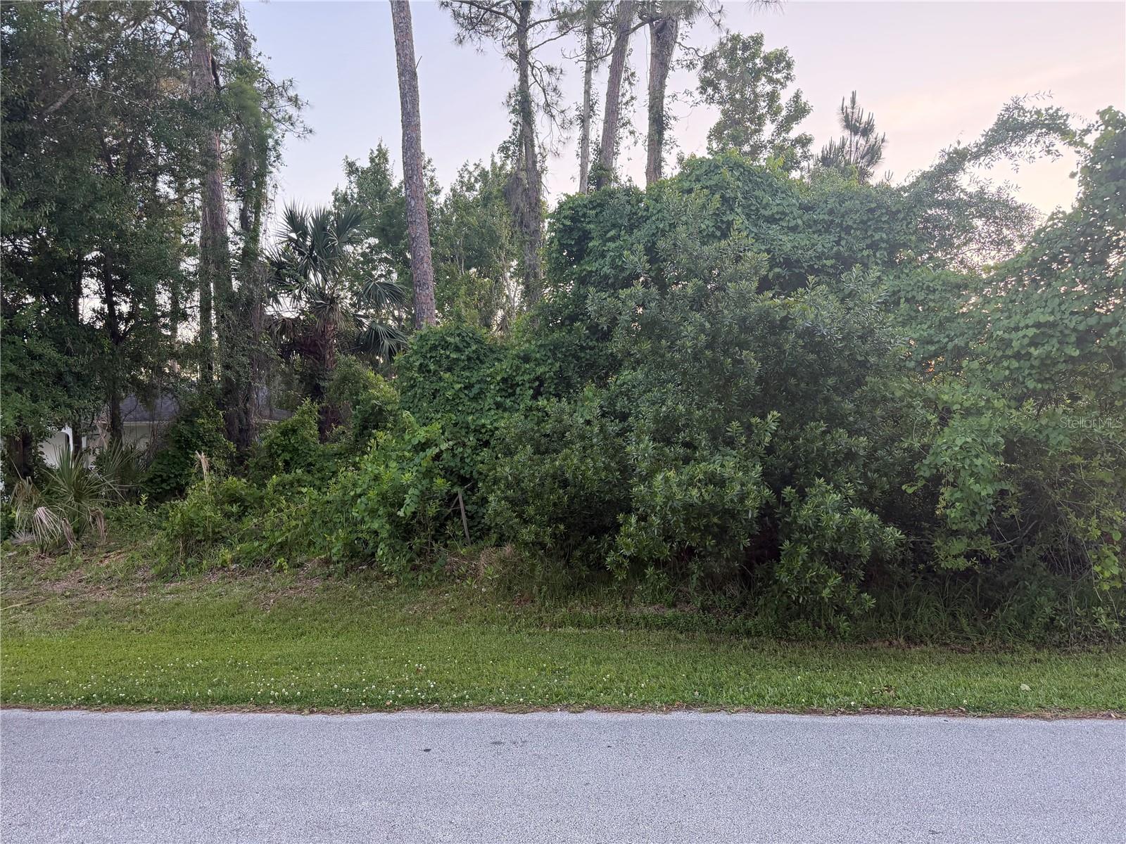 41 WOODLYN LN, PALM COAST, FL, 32164