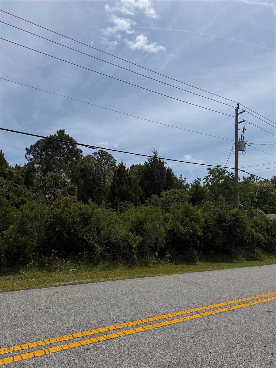 174 BIRD OF PARADISE DR, PALM COAST, FL, 32137