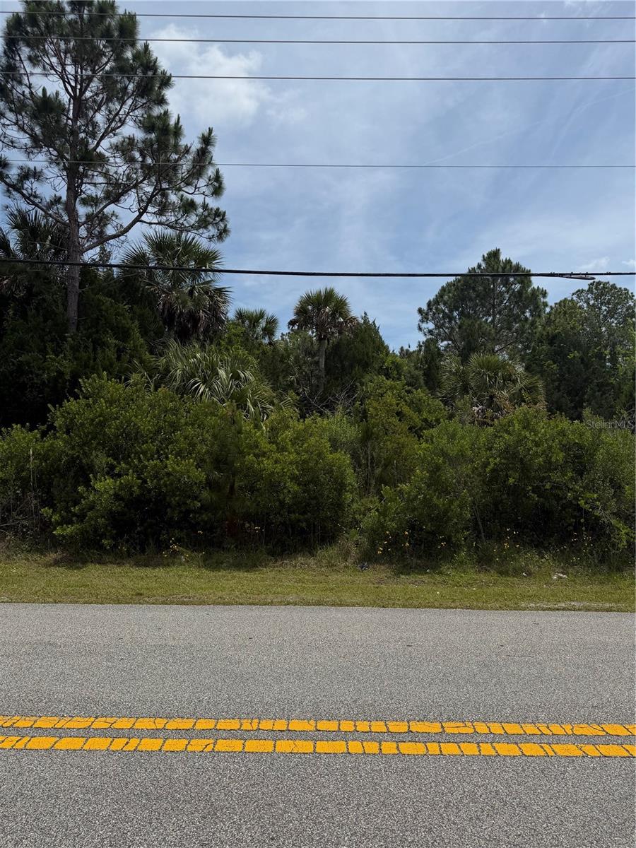174 BIRD OF PARADISE DR, PALM COAST, FL, 32137