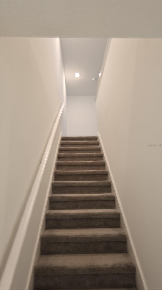 22170 NEBULA WAY, LAND O LAKES, FL, 34637