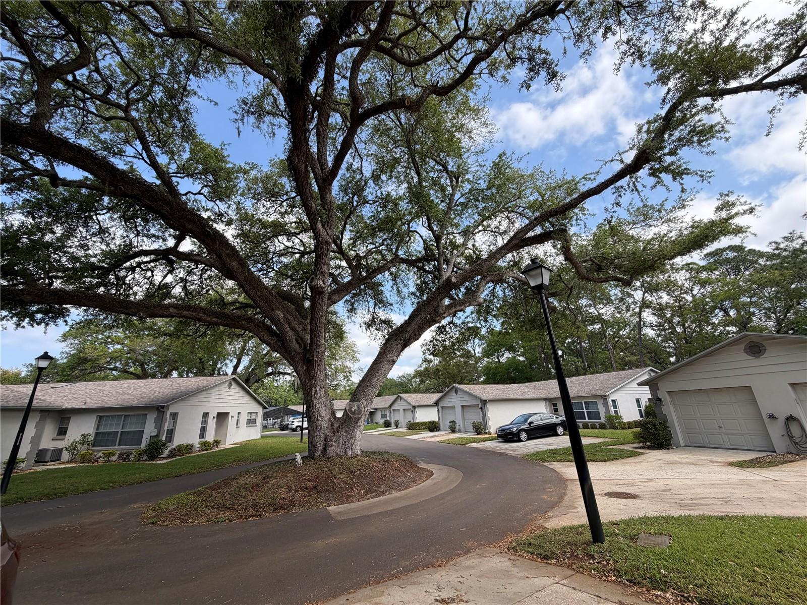 3724 RIVER OAKS CT, NEW PORT RICHEY, FL, 34655