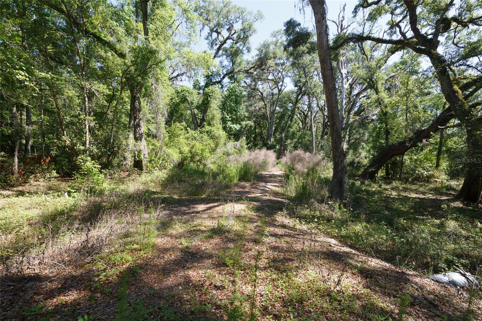 200 NE 364TH AVE, OLD TOWN, FL, 32680