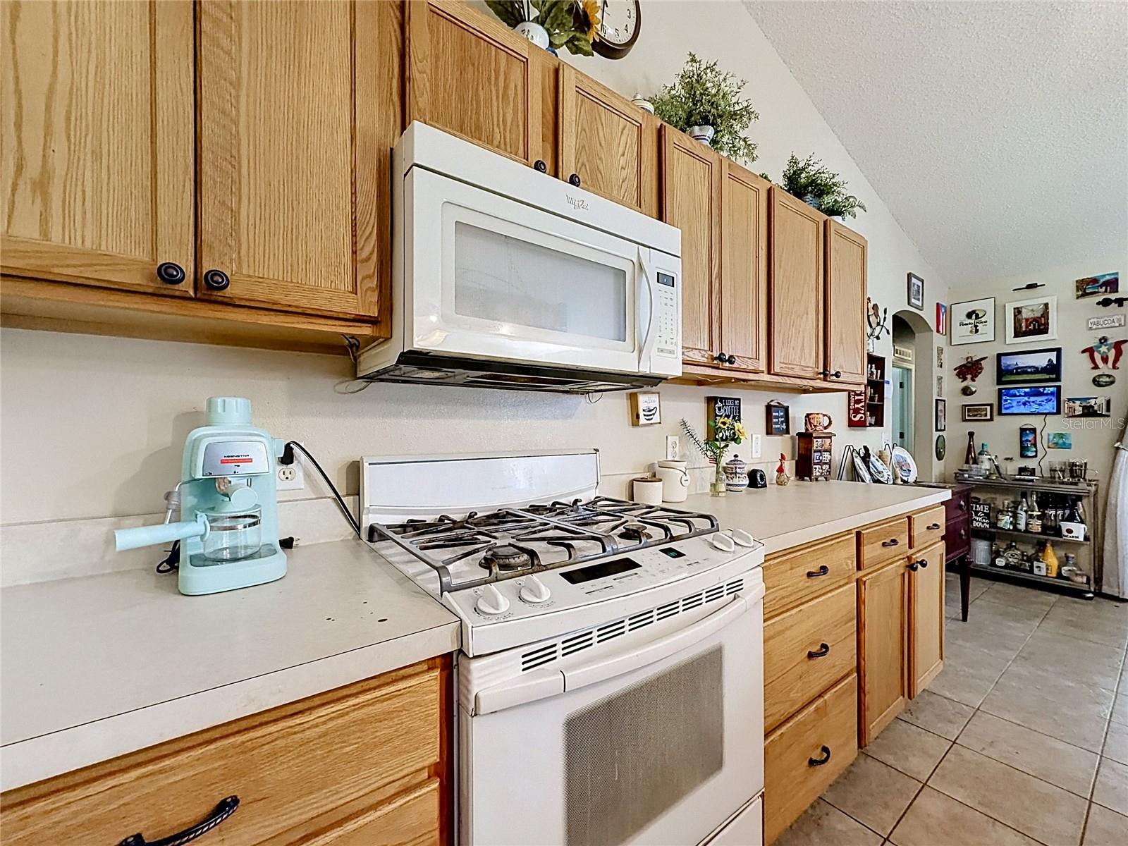 7400 LAKE MARNI CT, MOUNT DORA, FL, 32757