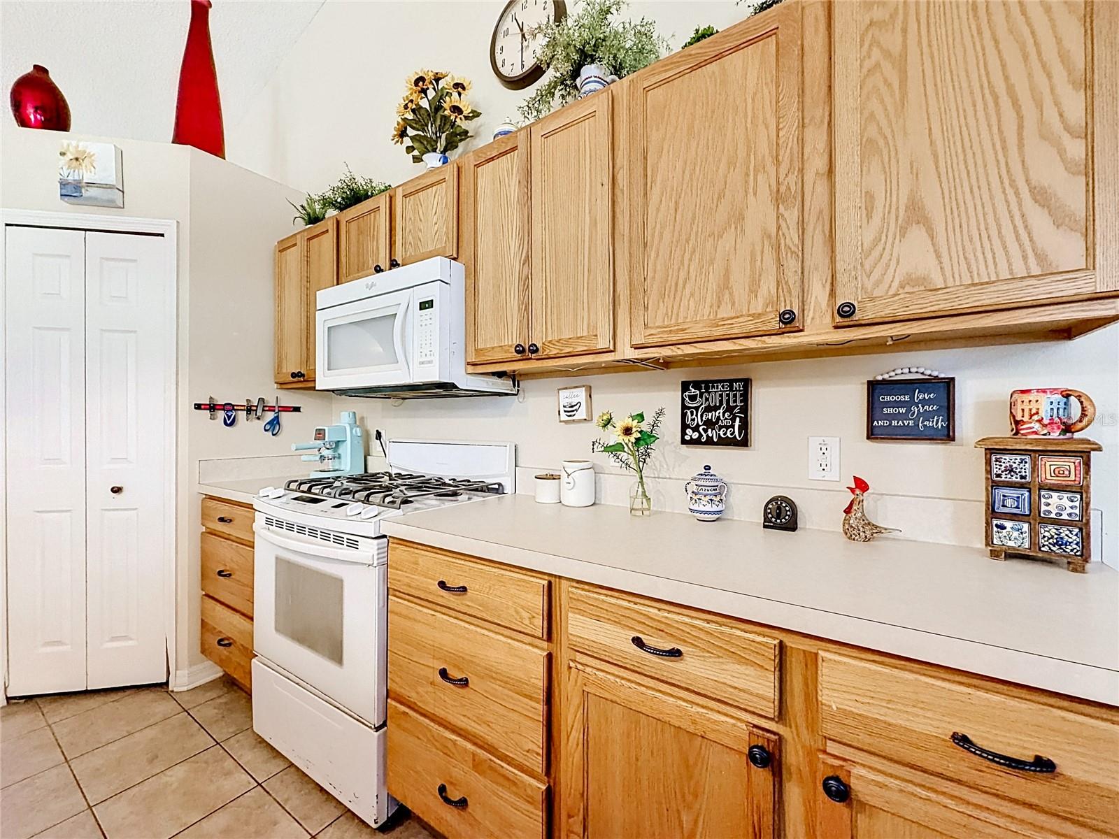 7400 LAKE MARNI CT, MOUNT DORA, FL, 32757